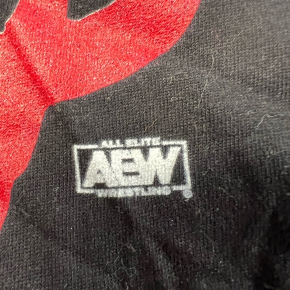 Pro Wrestling Tees AEW Men’s Young Bucks Graphic T-shirt - Picture 2 of 3